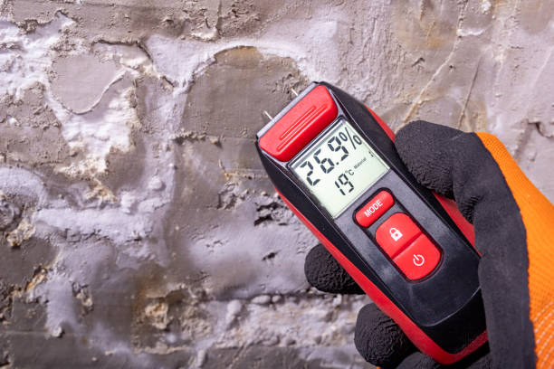 Best Mold Testing  in Homer, MI