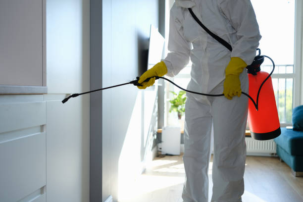 Best Toxic Mold Removal  in Homer, MI