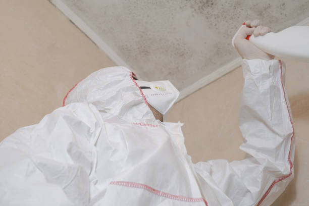 Best Crawl Space Mold Removal  in Homer, MI